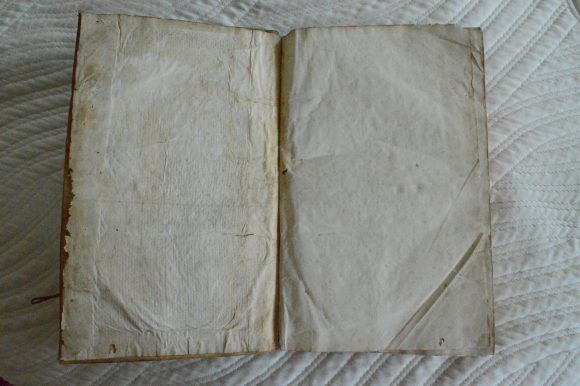 DSC_2005 - copia DSC_2005 - copia